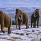 Illustration for article titled No, we wont be able to clone a woolly mammoth in the next five years